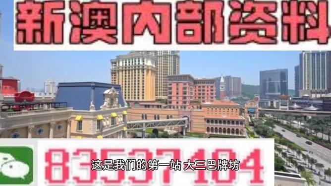 2024澳门免费资料精准,精选解释解析落实