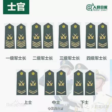 士官服役年限最新消息，改革背后的深层意义与影响