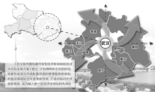 武汉自贸城最新消息，打造内陆开放新高地的战略蓝图