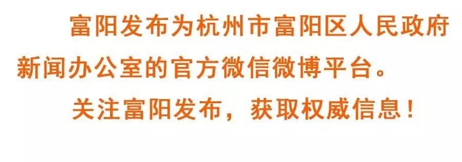 富阳秦望区块最新消息，城市新中心的崛起与未来展望