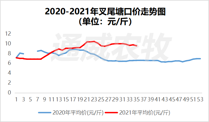 黄颡鱼价格最新消息，市场波动与未来趋势分析