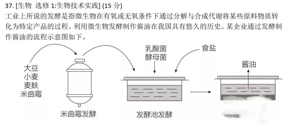 镇江自学考试网官网，开启自学成才的新篇章