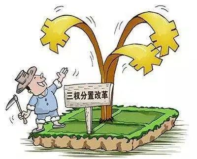 浙江公务员报考条件详解